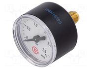 Manometer; 0÷2.5bar; G 1/8",rear connection; 40mm; Temp: -20÷60°C PNEUMAT