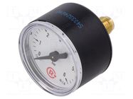 Manometer; 0÷6bar; G 1/8",rear connection; 40mm; Temp: -20÷60°C PNEUMAT