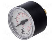Manometer; 0÷6bar; G 1/8",rear connection; 40mm; Temp: -20÷60°C PNEUMAT
