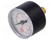 Manometer; 0÷16bar; G 1/8",rear connection; 40mm; Temp: -20÷60°C PNEUMAT