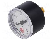 Manometer; 0÷25bar; G 1/8",rear connection; 40mm; Temp: -20÷60°C PNEUMAT