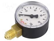 Manometer; 0÷100bar; G 1/4",bottom connection; 50mm; plastic PNEUMAT