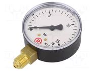 Manometer; 0÷16bar; G 1/4",bottom connection; 63mm; plastic PNEUMAT