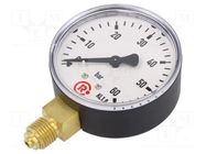 Manometer; 0÷60bar; G 1/4",bottom connection; 63mm; plastic PNEUMAT