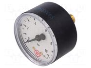 Manometer; 0÷10bar; G 1/4",rear connection; 50mm; Temp: -20÷60°C PNEUMAT