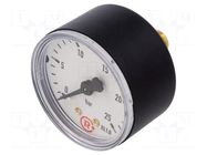Manometer; 0÷25bar; G 1/4",rear connection; 50mm; Temp: -20÷60°C PNEUMAT