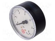 Manometer; 0÷6bar; G 1/4",rear connection; 63mm; Temp: -20÷60°C PNEUMAT