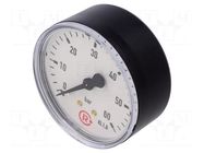 Manometer; 0÷60bar; G 1/4",rear connection; 63mm; Temp: -20÷60°C PNEUMAT