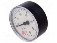 Manometer; 0÷60bar; G 1/4",rear connection; 63mm; Temp: -20÷60°C PNEUMAT