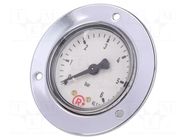 Manometer; 0÷6bar; G 1/4",rear connection; 50mm; Temp: -20÷60°C PNEUMAT