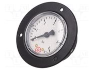 Manometer; 0÷6bar; 50mm; non-aggressive liquids,inert gases PNEUMAT