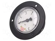 Manometer; 0÷6bar; G 1/4",rear connection; 50mm; Temp: -20÷60°C PNEUMAT
