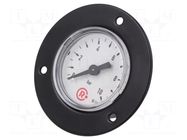 Manometer; 0÷10bar; G 1/8",rear connection; 40mm; Temp: -20÷60°C PNEUMAT