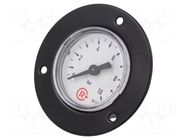 Manometer; 0÷10bar; G 1/8",rear connection; 40mm; Temp: -20÷60°C PNEUMAT