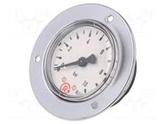 Manometer; 0÷10bar; G 1/4",rear connection; 50mm; Temp: -20÷60°C PNEUMAT