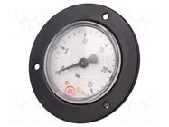 Manometer; 0÷25bar; G 1/4",rear connection; 50mm; Temp: -20÷60°C PNEUMAT