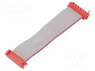 Ribbon cable with connectors; Tape ph: 1.27mm; PIN: 12; 2x6 TE Connectivity