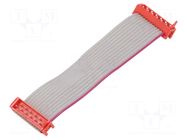 Ribbon cable with connectors; Tape ph: 1.27mm; PIN: 12; 2x6 TE Connectivity