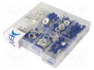 Kit: ring terminals; crimped; for cable; insulated,non-insulated BM GROUP