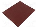 Cleaning cloth: sandpaper; Granularity: 60; 230x280mm; 6s. PG PROFESSIONAL