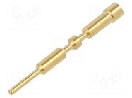 M23 P male-c 1mm (0,14–1mm²) Au HARTING