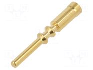 M23 P male-c 2mm (0,75–2,5mm²) Au HARTING
