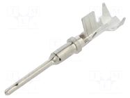 Contact; male; 20; ATM; nickel plated; 22AWG÷20AWG; cut from reel AMPHENOL