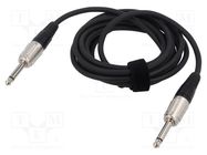 Cable; Jack 6,3mm 2pin plug,both sides; 6m; black; 0.25mm2 TASKER