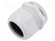 Cable gland; M63; 1.5; polyamide; light grey; SKINTOP® LAPP