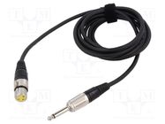 Cable; Jack 6,3mm 2pin plug,XLR female 3pin; 12m; black; 0.25mm2 TASKER