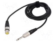 Cable; Jack 6,3mm 2pin plug,XLR female 3pin; 3m; black; 0.25mm2 TASKER