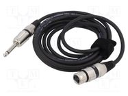 Cable; Jack 6,3mm 2pin plug,XLR female 3pin; 12m; black; 0.25mm2 TASKER