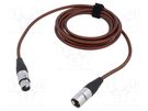 Cable; XLR male 3pin,XLR female 3pin; 12m; brown; 0.25mm2 TASKER