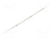 LED tape; white warm/cold white; 2835; LED/m: 120; 10mm; white PCB IPIXEL LED