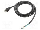 Cable; 3x16AWG; NEMA 5-15 (B) plug,wires; PVC; 3m; black; 13A; 125V Qualtek Electronics