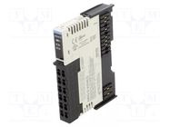 Industrial module: analog input; -10÷55°C; IP20; ARIO; 24VDC; IN: 4 AUTONICS