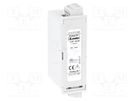 Extension module; for DIN rail mounting; Input: analogue x2 LOVATO ELECTRIC