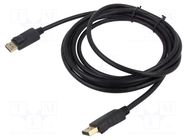 Cable; DisplayPort plug,both sides; DisplayPort 1.2; Len: 3m SAVIO