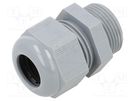 Cable gland; without nut; PG16; IP68; polyamide; grey; Entrelec TE Connectivity