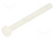Screw; M3x30; 0.5; Head: cheese head; Pozidriv; 0.8mm; polyamide DREMEC