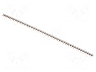 Busbar; 30mm2; Poles: 1; 690VAC; 690VDC; Inom: 120A; No.of mod: 60 ABB