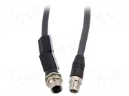 Cable: for sensors/automation; PIN: 8; 1m; plug; 50VAC; -40÷90°C LUMBERG AUTOMATION