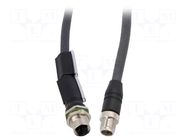 Cable: for sensors/automation; PIN: 8; 1m; plug; 50VDC; 50VAC; IP67 LUMBERG AUTOMATION