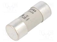 Fuse: fuse; gG; 63A; 690VAC; 440VDC; 22x58mm DF ELECTRIC