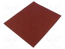 Cleaning cloth: sandpaper; Granularity: 150; 230x280mm; 6s. PG PROFESSIONAL
