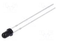 Photodiode; 3mm; THT; 950nm; black,diffused BRIGHTEK (EUROPE)