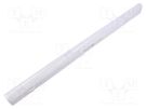 LED lamp; for indoor use; IP20; white; 538x22.8x36mm 