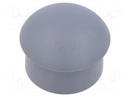 Stopper; polyamide; grey; Entrelec; Ø: 31.8mm; Size: 37; L: 17mm TE Connectivity