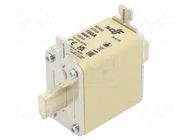 Fuse: fuse; 160A; 500VAC; 250VDC; gG; ceramic; NH00 DF ELECTRIC