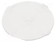 Label; 61; Ø19.7mm; Body: transparent; plastic EAO